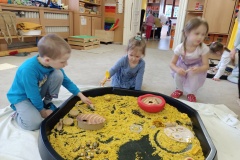 IMG_20250331_093833