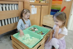IMG_20250331_093936