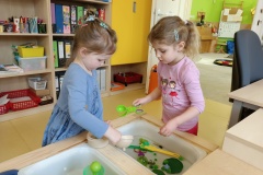 IMG_20250331_094039