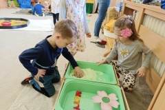IMG_20250331_094404