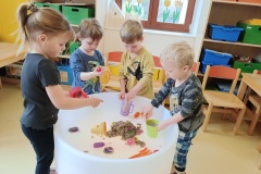IMG_20250331_094420