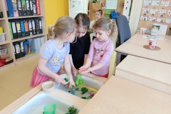IMG_20250331_094426