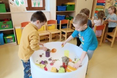 IMG_20250331_100317
